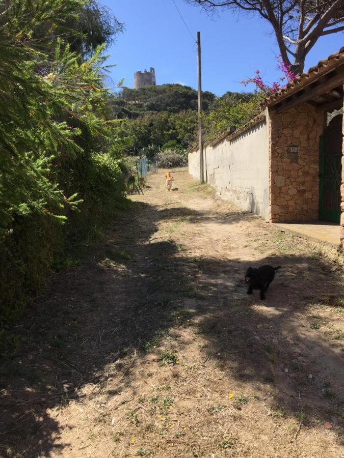 La Casa Sotto La Torre Villa Chia Eksteriør bilde